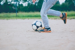 Sports Teams